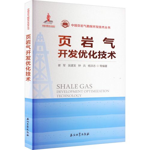 頁(yè)巖氣開(kāi)發(fā)優(yōu)化技術(shù) 謝軍 等 編 交通/運(yùn)輸專(zhuān)業(yè)科技 新華書(shū)店正版圖書(shū)