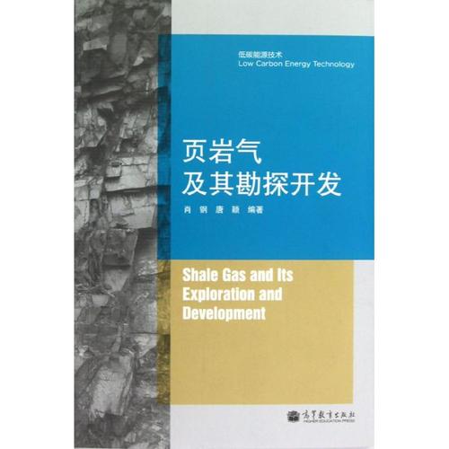 頁(yè)巖氣及其勘探開(kāi)發(fā)/低碳能源技術(shù) 肖鋼,唐穎編著 著作 石油 天然氣工