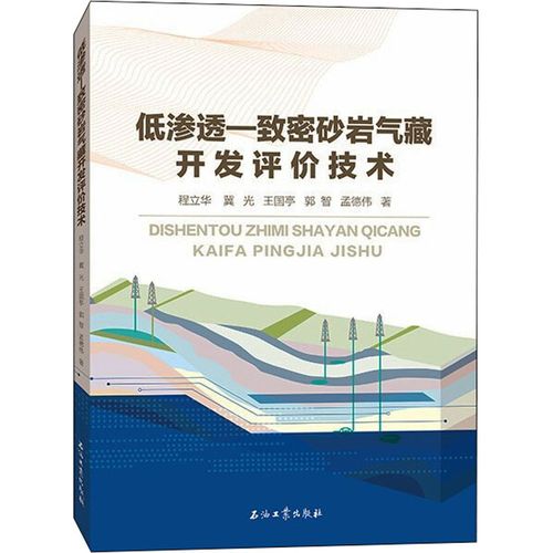 低滲透-致密砂巖氣藏開(kāi)發(fā)評(píng)價(jià)技術(shù) 程立華 等 著 地球物理學(xué)專(zhuān)業(yè)科技