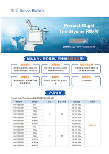 生工生物技術(shù)交流 把握Tris預(yù)制膠促銷，提升生命科學(xué)研究效率